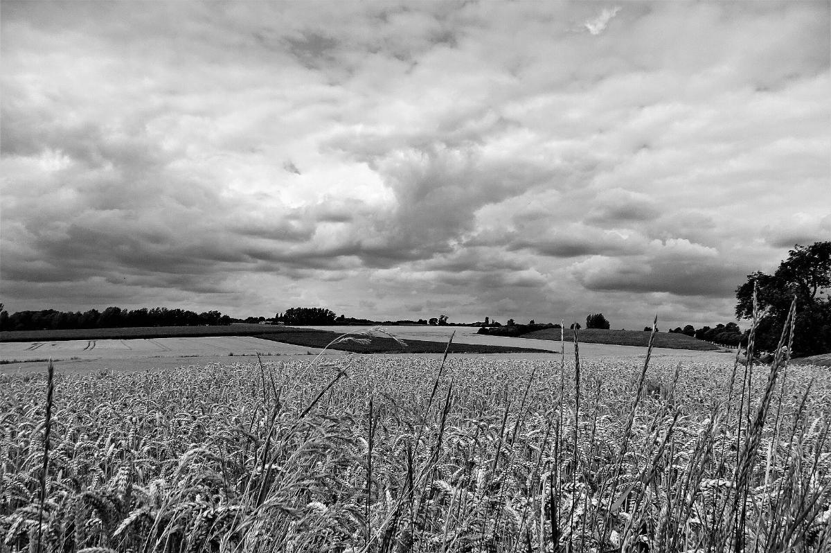 Glooiend landschap in Gooik, Pajottegem